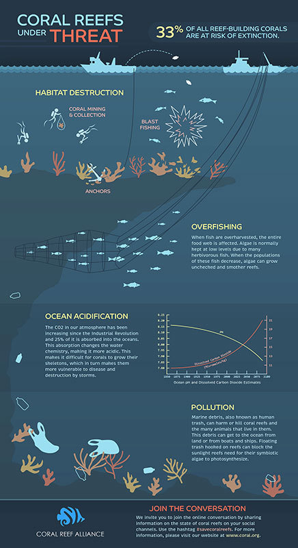 Infographic detailing threats to the coral reefs.